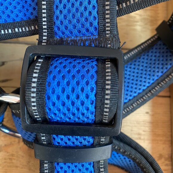 41- (2fer) Let's Pawz For A Moment. Use Protection! & Harness The Potential - Picture 6 of 11